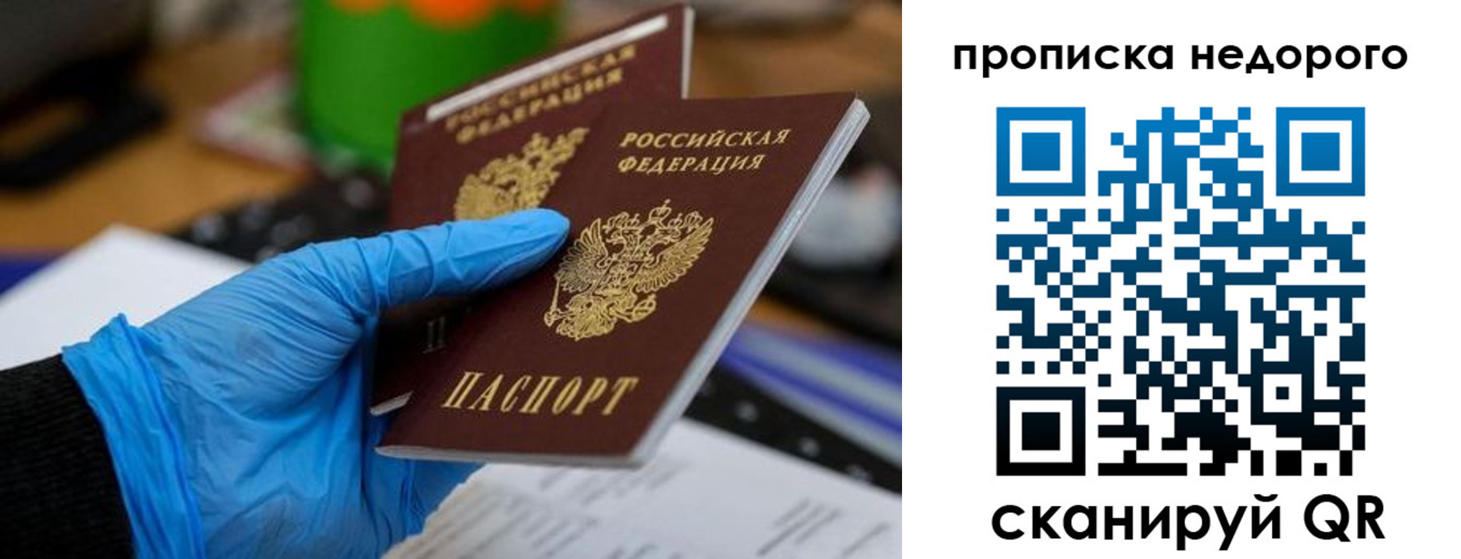 прописка поиск в Павловском Посаде